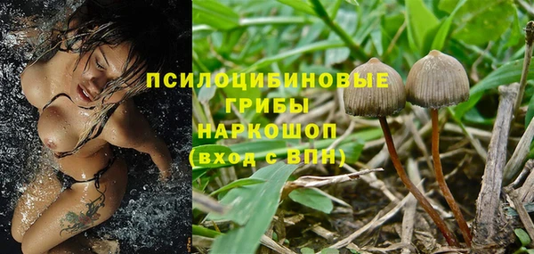 spice Балабаново