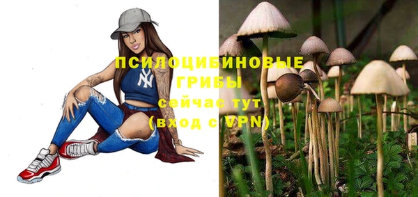 бошки Беломорск